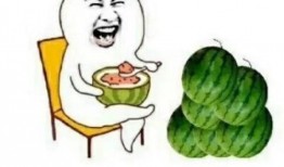 娱乐圈日常吃瓜