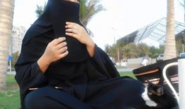 娱乐吃瓜君说的都是谁啊