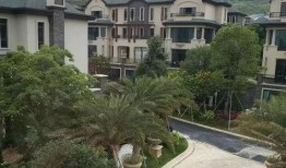 718娱乐吃瓜最新地址,独家爆料等你来探